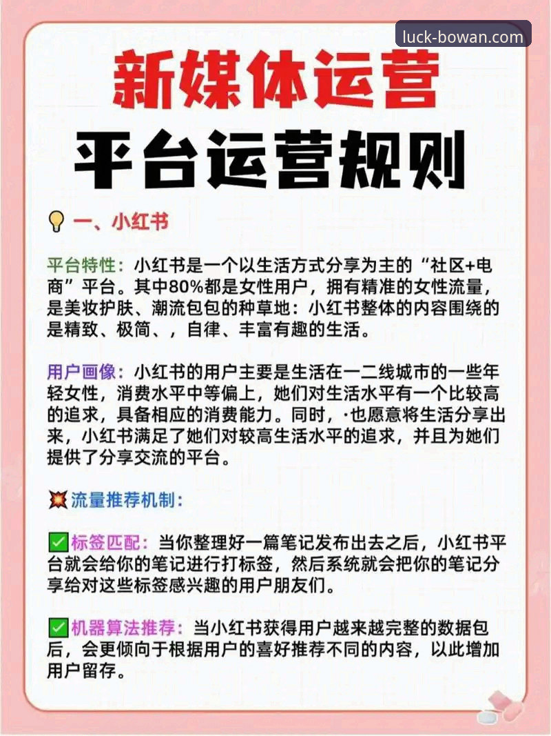 博万娱乐平台使用技巧详解：从入门到精通的全方位指南